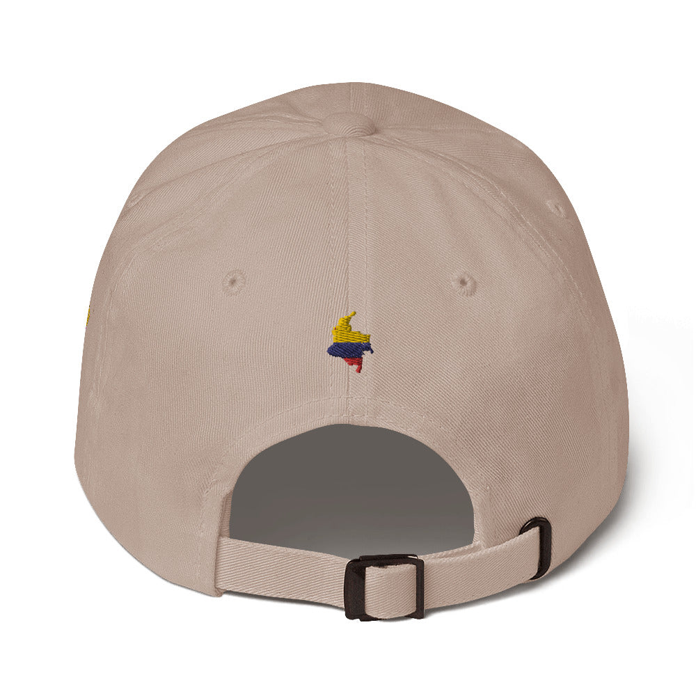 Classic Stone dad hat featuring an embroidered Colombian flag brushstroke design. A stylish and subtle way to represent Colombian pride with a modern artistic touch.